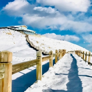 十一月最适合去北方看雪 去南方看海