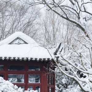 一下雪 苏州就成了姑苏