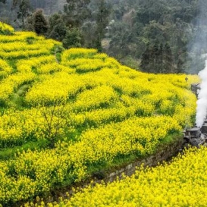 适合一个人旅行的15个地方 收藏下来以后去走走